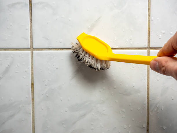 Best Mold Remediation Services  in Prichard, AL