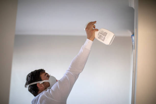 Best Black Mold Removal  in Prichard, AL