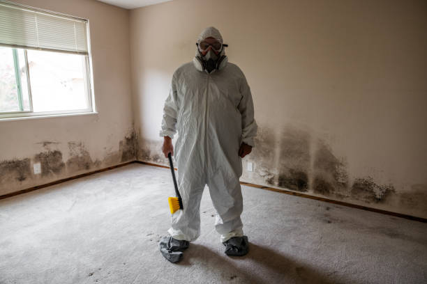 Best Mold Removal Process  in Prichard, AL