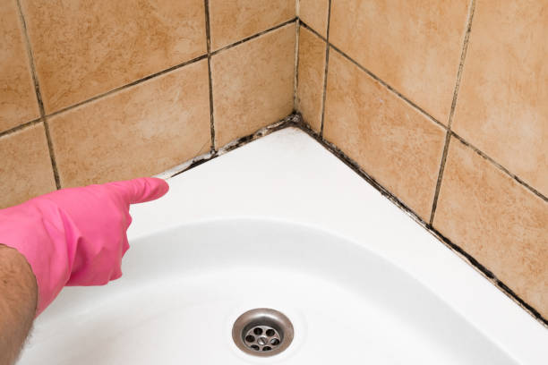 Best Mold Testing  in Prichard, AL